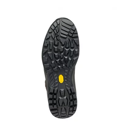 Trail Shoes Scarpa Boreas GTX M's Winter 2025