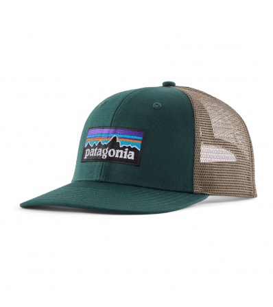 Patagonia P-6 Logo Trucker Hat