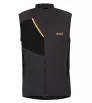 Direct Alpine Vest Element 1.0 M's
