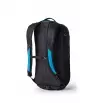 Раница Gregory Nano 20L Summer 2025