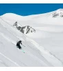 Ski Faction Agent 3