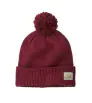 Beanie Patagonia Powder Town